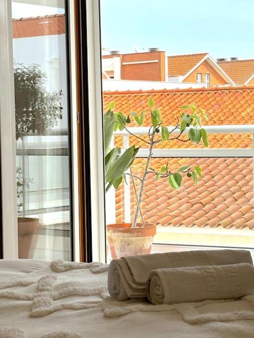 Nazare Boutique W Sea View And Private Rooftop Terace Екстериор снимка