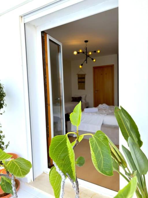 Nazare Boutique W Sea View And Private Rooftop Terace Екстериор снимка